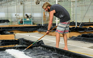 Lucas Manteca brooms salt out of evaporated South Jersey sea water. Salt can be made all year, but texture and flavor change with the seasons.