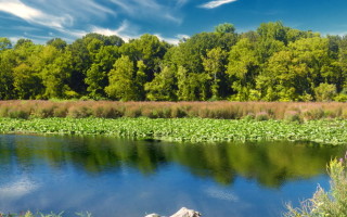 The Columbia Lake in Warren County, New Jersey.