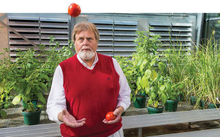 The new Rutgers tomato has a good balance of sweetness and tartness, and a slightly firm skin–as demonstrated by Thomas Orton, one of its creators.
