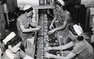 Employees process asparagus at Seabrook Farms during World War II. Many of the farm's workers at the time were Japanese-Americans who had been interned since the beginning of the war.