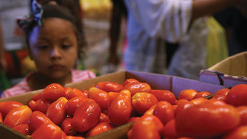 Low-income families selected free bread and produce last August at the Community FoodBank of New Jersey in Egg Harbor Township. CFBNJ reports an 11 percent increase in food distribution in Atlantic County since four Atlantic County casinos closed in 2014, laying off 8,000 people.