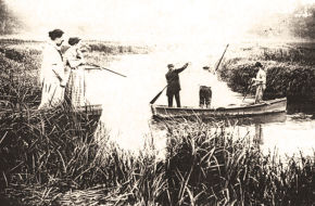 Residents search Matawan Creek soon after the deadly shark attacks of July 1916.
