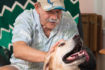 82-year-old John A. Gregory, left, loves his time with his therapy dog Earl.