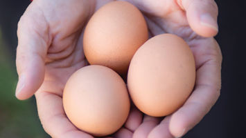 The McDonald family collects just under two dozen fresh eggs each week from their three hens.