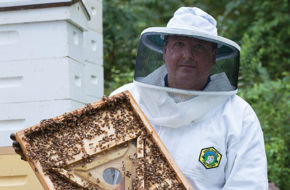 Apiarist Frank Mortimer works his hives in Upper Saddle River. Mortimer had never been around a beehive before he started keeping bees in 2007.