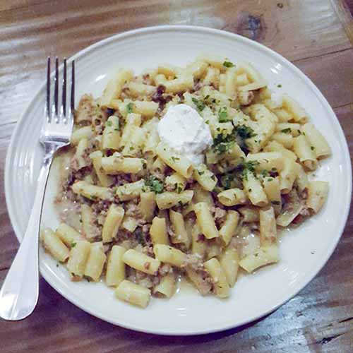 Lamb Bolognese with cavatelli at Horseneck Tavern in North Caldwell, New Jersey