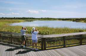 Ann and Noot Canoles of Timonium, Maryland, observe the abundance of avian species at the Cape May Hawk Watch.
