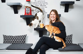 Owner Kristin Barber plays with some of the adoptable cats at Rahway City Hall. Patrick, left, climbs down wall shelves, and Cubby sits in her lap.