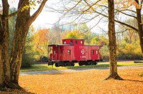 A loose caboose spotted in Port Murray.