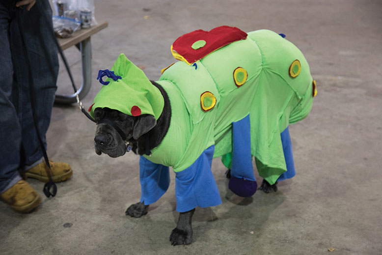This four-legged friend is Elephant, an Italian mastiff. Ellie’s handmade costume, Heimlech the caterpillar from A Bug’s Life, was designed by her owners.