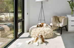 Obie and Indy, the couple’s King Charles Spaniels, find a sunny corner in the master bedroom.