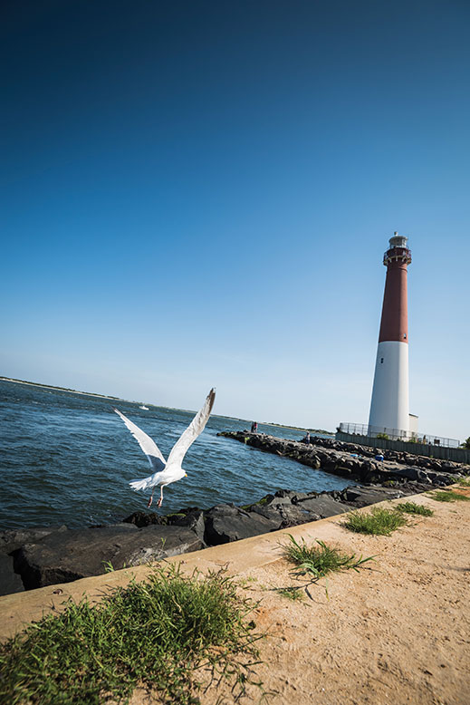 Barnegat Lighthouse, fondly referred to as Old Barney, rises 172 feet over LBI's northern tip.