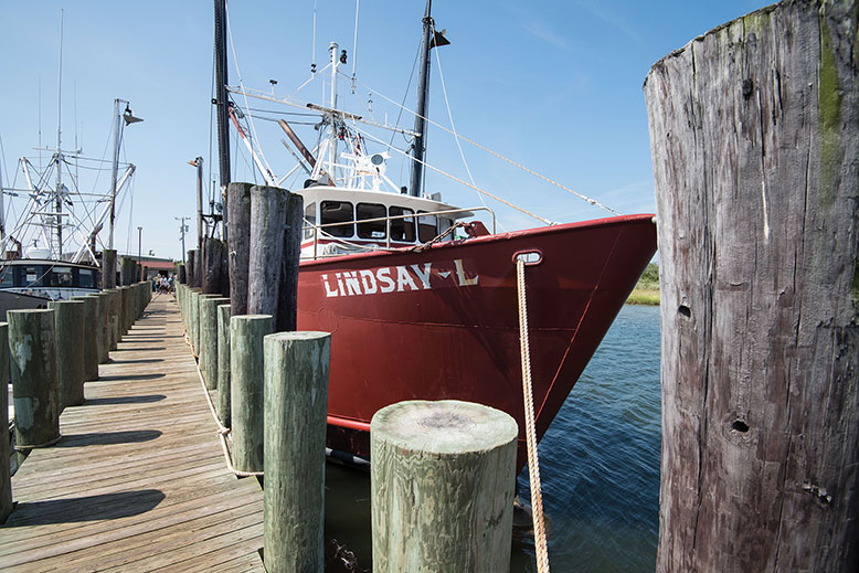 Lindsay L, used in the film "The Perfect Storm," can be spotted at the docks in Barnegat Light.