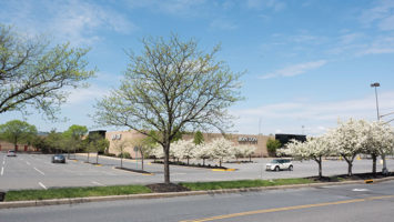 On a recent weekday afternoon, there were plenty of open spaces in the parking lot at the Phillipsburg Mall—just as there were plenty of vacant stores inside the mall, which recently lost its Sears and Bon-Ton anchors.