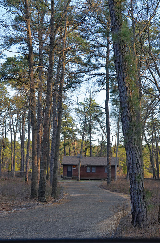 Bass River State Forest’s six log cabins are surrounded by woods and feature screened porches with a view of the 67-acre Lake Absegami.