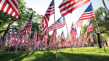 A sea of flags unfurls on Flag Day at Clifton’s municipal complex.