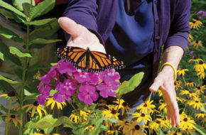 Peter and Kathleen Palmer admire a monarch butterfly in their garden in Bernardsville.