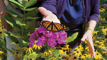 Peter and Kathleen Palmer admire a monarch butterfly in their garden in Bernardsville.
