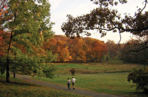 A couple strolls along one of the scenic paths at Frelinghuysen Arboretum in Morristown.