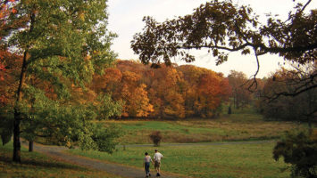 A couple strolls along one of the scenic paths at Frelinghuysen Arboretum in Morristown.