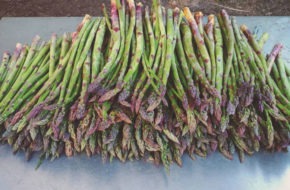 asparagus