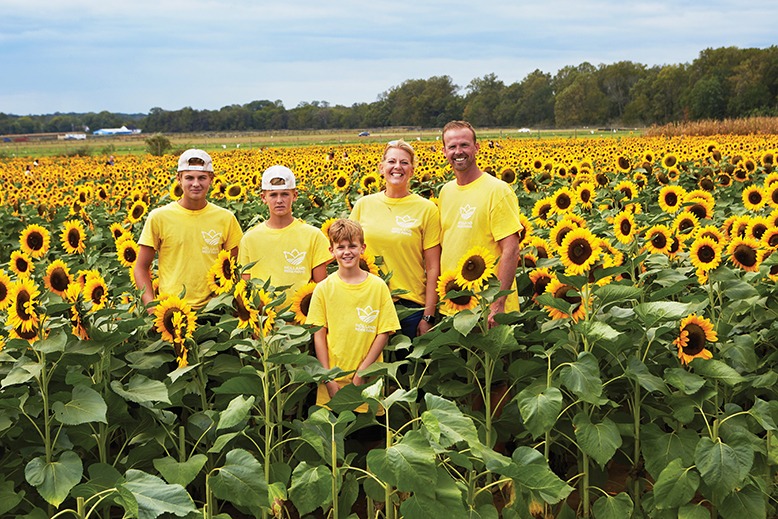 holland ridge farms sunflowers