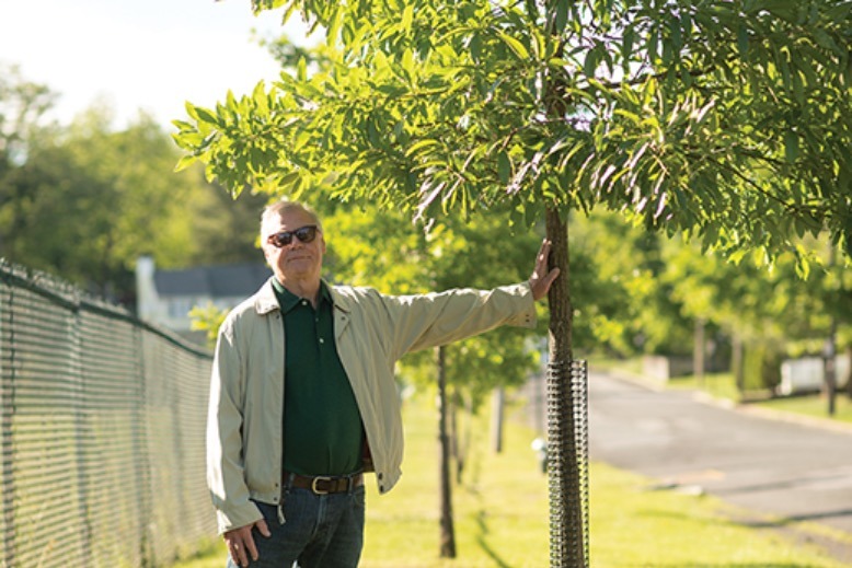 nj trees