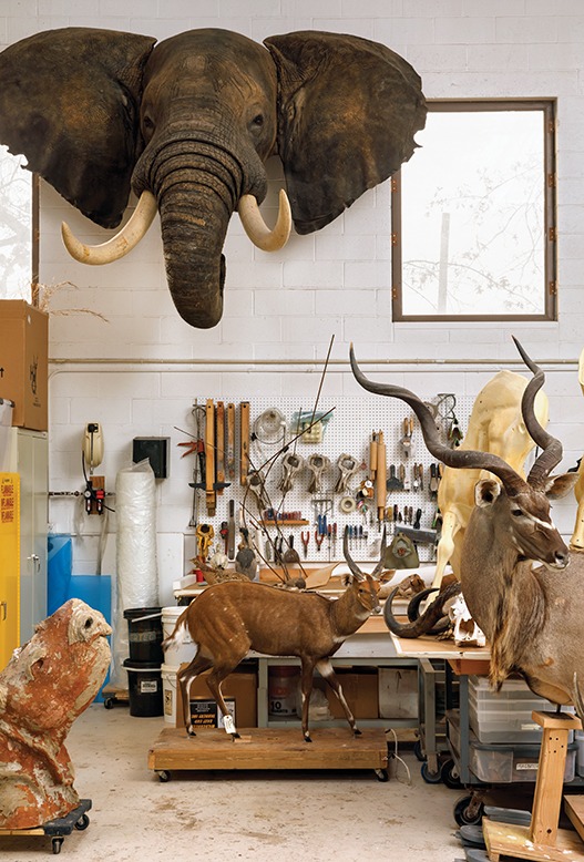 taxidermist george dante