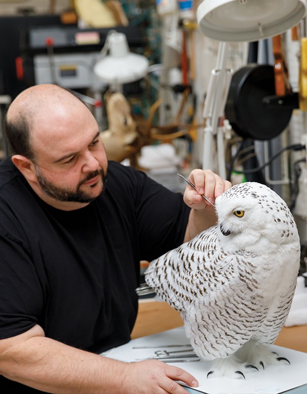 taxidermist george dante