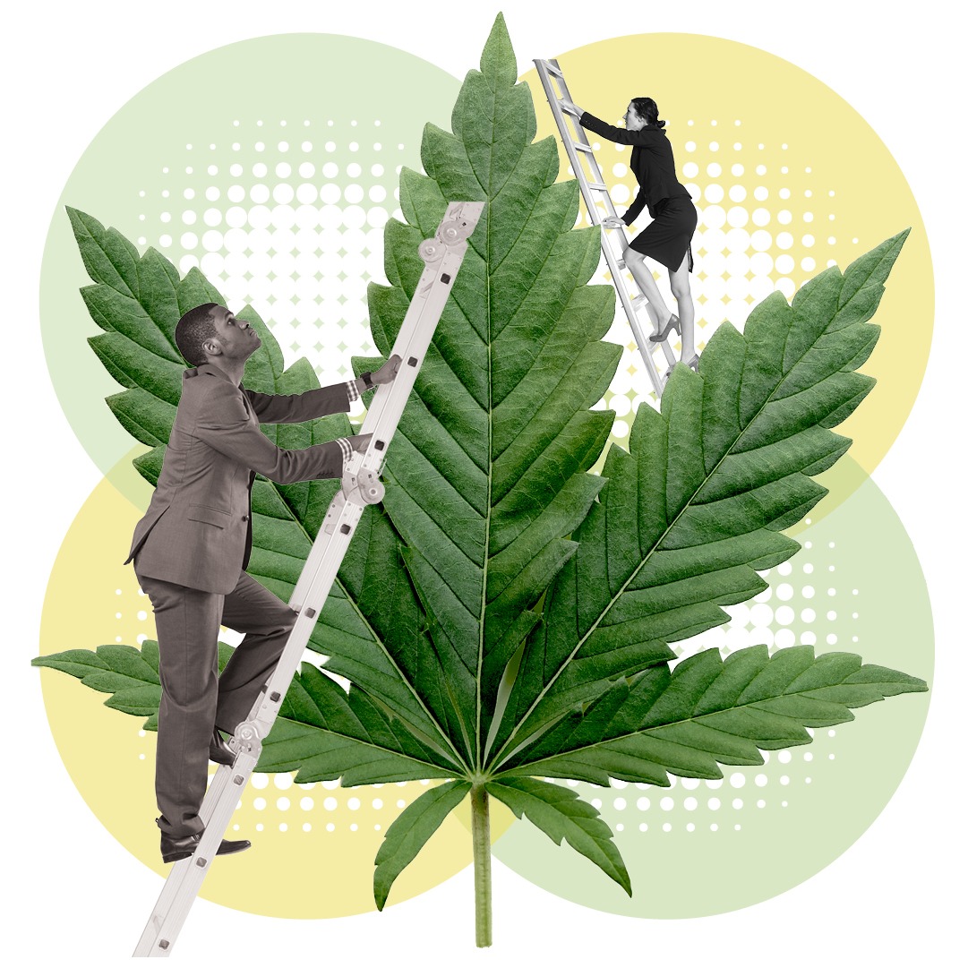 Cannabis Regulatory Commission