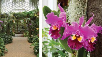duke farms orchid range Hillsborough
