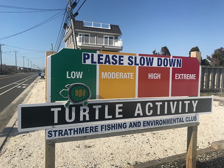 A sign at Strathmere instructs drivers to slow down for turtle activity.