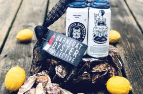 oyster beer