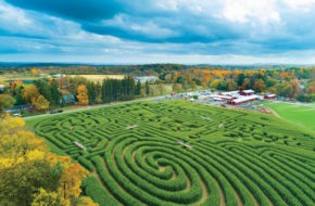 The paths of Stony Hill Farms' corn maze in Chester, NJ