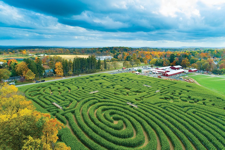 Drone view of the corn maze at Stony Hill Farms in Chester