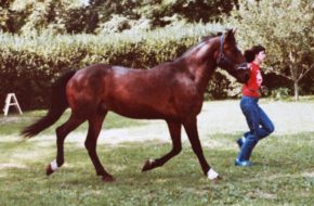 Cynthia A. Branigan with her horse Gamal