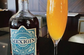 Mexigin cocktail