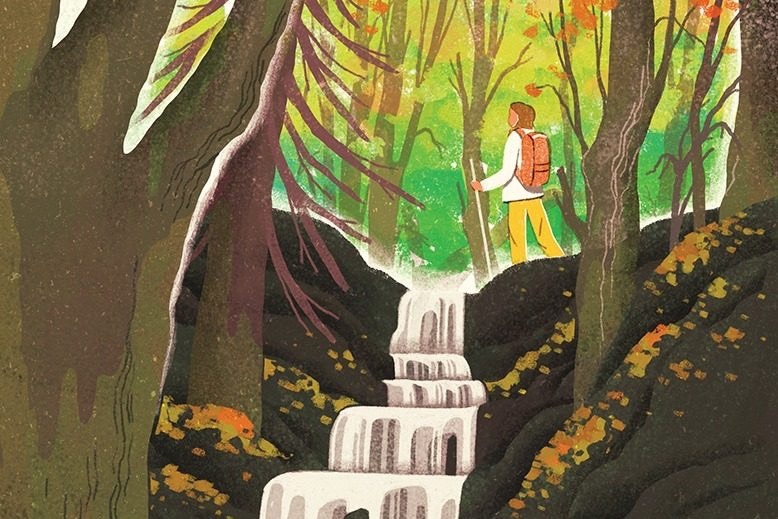 Illustration of a woman hiking a tree-lined waterfall.