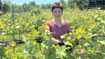 Beverly Tepper in a vineyard