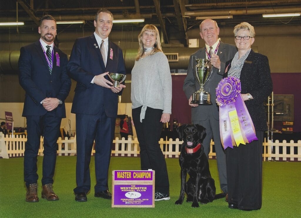 Warren County's Linda Brennan and her Labrador retriever Heart after their win at the Westminster Masters Obedience Championship in 2019. Photo by JC Photography.