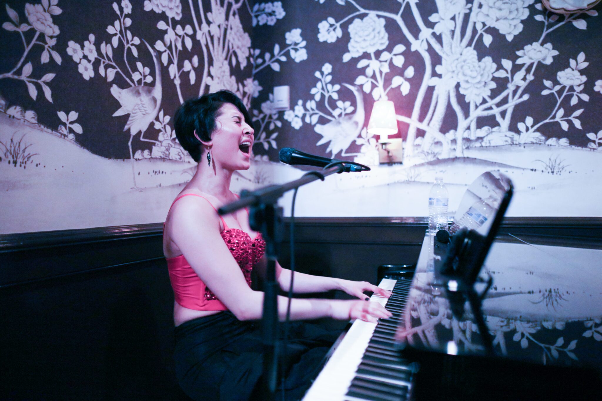 Lizz Sooy performing at the Brown Room at Congress Hall in Cape May, NJ