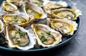 oysters