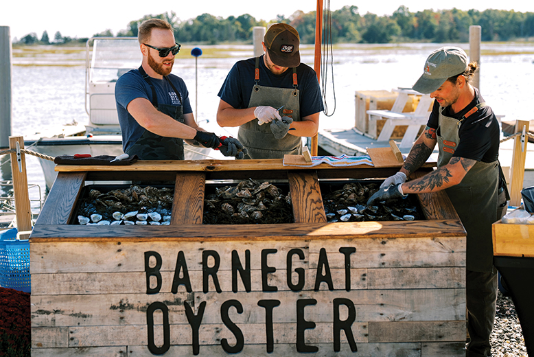 Barnegat Oyster Collective in Barnegat Township, NJ