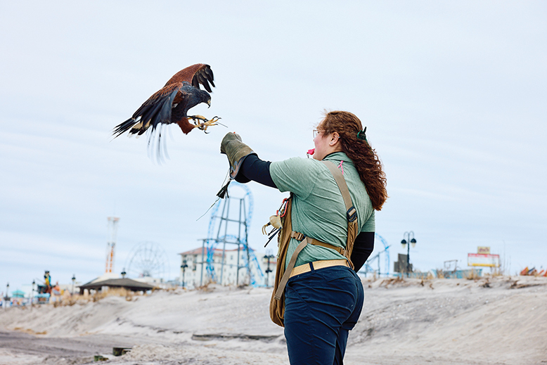 Woman with trained bird at beach in Ocean City, NJ