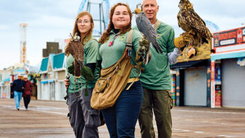 Team of falconers holding trained birds on boardwalk in Ocean City, NJ
