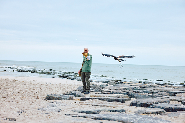 Man with trained bird on beach in Ocean City, NJ