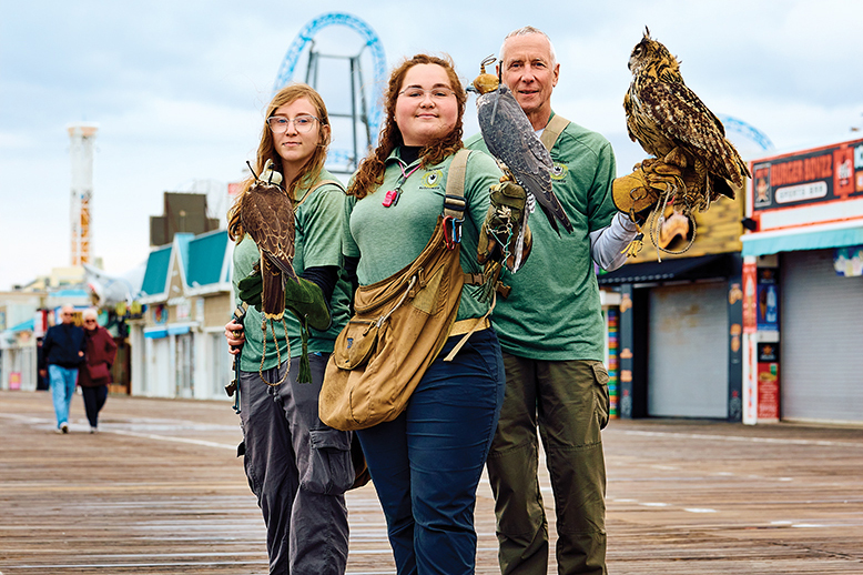 Team of falconers holding trained birds on boardwalk in Ocean City, NJ