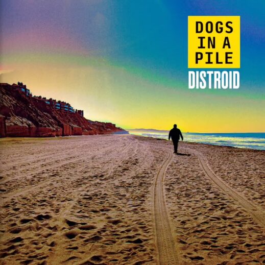 Album cover of "Distroid" by Dogs in a Pile