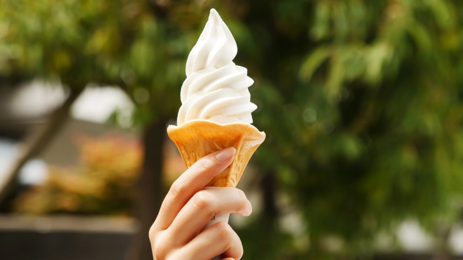 New Jersey Dining News: Restaurant Openings, Closings & Updates
