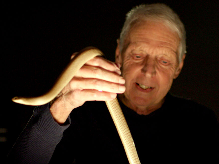 New Jersey at the Heart of New Docuseries On Exotic Reptile Smuggling
